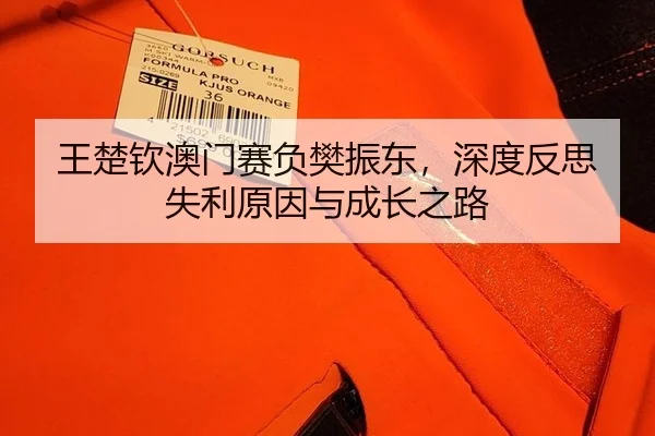 wang-chu-qin-ao-men-sai-fu-fan-zhen-dong-shen-du-fan-si-shi-li-yuan-yin-yu-cheng-zhang-zhi-lu-2-849.jpg