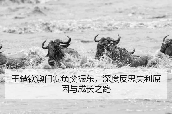 王楚钦澳门赛负樊振东，深度反思失利原因与成长之路