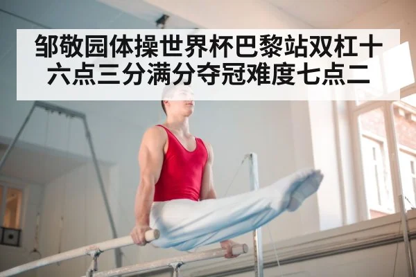邹敬园体操世界杯巴黎站双杠十六点三分满分夺冠难度七点二